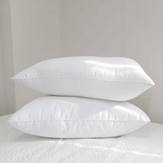 이룸앤 1+1 진드기 곰팡이 zero 웰케어 베개솜 2size 점보베개솜