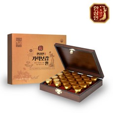 [한삼인] 기력보감 환 (3.75g X 25환), 1개