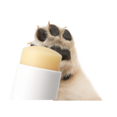 강아지 발바닥 보습제 반려동물 풋케어 7.5g 1개