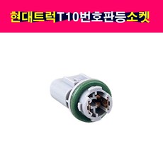 송모터스 송자동차나라 현대 트럭 번호판등 번호판램프 넘버등 넘버등램프 T10전구사용 T10전구소켓, 1개