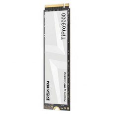 즈타이 티프로 9000 NVMe M.2 SSD, 1TB 1TB