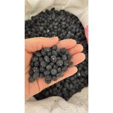 직접재배한 국산 검정콩 서리태 속청 1kg, 1개