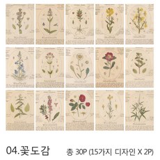 30매 레트로 배경지 세트 빈티지 클래식 랩핑지 페이퍼 다꾸 감성 포스터 영자신문, 04.꽃도감