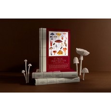 Fungal Inspiration 蕈類插畫藝術：從大自然擷取靈感