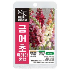 모칸도 좋은씨앗 금어초 씨앗 유카타혼합 100립 꽃씨 꽃씨앗, 1개