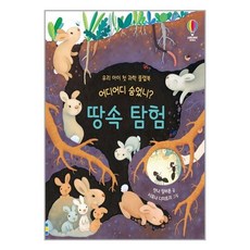 어스본코리아 어디어디 숨었니? 땅속 탐험 (마스크제공), 단품, 단품