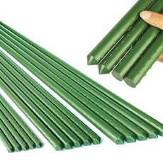 식물 지지대 고추 오이 토마토 넝쿨 화분 화초 텃밭 지주대, 직경8mm x 길이60cm, 1개