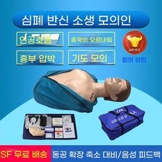 심폐 소생술 연습 훈련 응급처치 교육 심폐소생술, 반 바디 디지털 디스플레이  음성  훈련  평가  실용