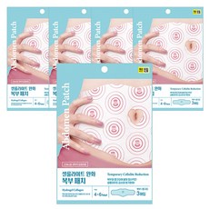 팩미인 셀룰라이트 완화 복부패치 5팩 (15매입), 5개, 3개입