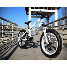 광폭타이어 팻자전거 바퀴큰 경량 타이어 펫자전거, 20inch, 7단, 크림화이트 20인치