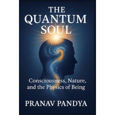 (英文圖書)THE QUANTUM SOUL Consciousness Nature and the Physics of Being 平裝版, Independently Published, 英文