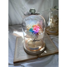 Small forest 永生花燈罩 玫瑰花 康乃馨 畢業花束 捧花, E 彩虹,換購禮盒