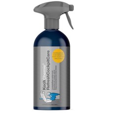 차량내부 센터페시아 대시보드 청소 세정제 스프레이 오염제거