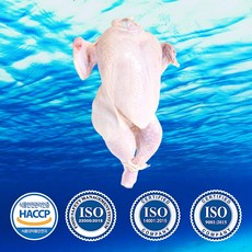 [해품닭] 해수품은 인제 청정 염지 닭고기 통마리 12호(1 151g~1250g) 냉장 HACCP ISO(식품안전 품질경영 환경경영시스템) 인증 100% 국산 산지직송, 1.2kg, 1개