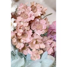 快樂花 進口乾燥法國白梅 重瓣白梅 捧花 盆花 花圈 花束 手腕花 胸花 攝影道具, 裸膚粉 （10朵）