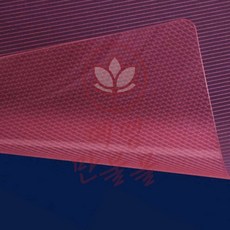 자깡몰 B5 제본용 PP표지 사선투명 적색 100매 제본소모품