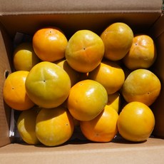 25년 창원 달콤 아삭한 단감, 1개, 중과 10kg(40-60과)