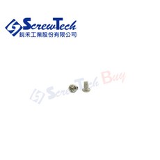【銳禾】工廠直營 盤頭/丸頭 十字槽 M2.5x4 自攻牙 鍍鎳100入裝, 1個