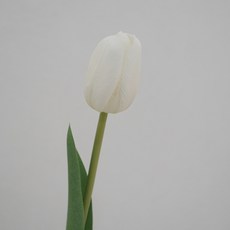 아이뉴 인테리어 조화 장미 튤립 감성 5송이 1개, 스탠다드 튤립  흰색