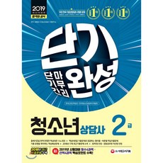 2019 청소년상담사 2급 단기완성, 시대고시기획 시대교육