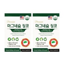 USPHARMATECH 프리미엄 마그네슘 징코, 60정, 2개