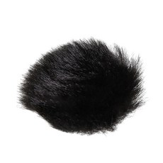 프로페셔널 윈드스크린 윈드실드 커버 G7XII G9X AS300 소음 제거, 1개