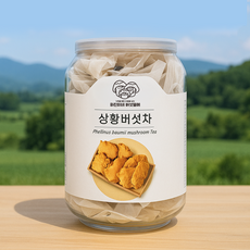 농촌감성 상황버섯차 국산 건강차 티백차, 1개, 20개입, 1g
