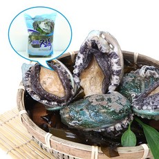 [신선당일발송] 굿뜰해 활전복 막 잡은 쫄깃한 바다의 신선함, 1개, 완도 활전복 선물세트 산소포장 20-25미 1kg