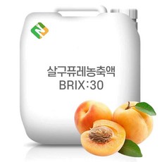 살구퓨레농축액 30Brix 200g 샘플, 1개