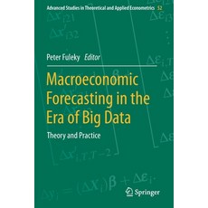 Macroeconomic Forecasting in the Era of Big Data: Theory and Practice Paperback, Springer
