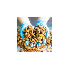 남해 손질 건조 홍합 500g