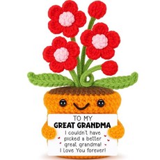 해외 Agantree art 친구를 위한 새로운 초보자 선물 꽃 크로셰 생일 부활절 장식 졸업 청년 여성 딸 동료 상사 선생님을 - 여성을 영감을 주는 은퇴 미국매장정품+ 17, 위대한 할머니.