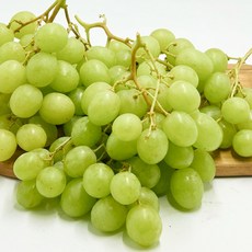 18brix이상 고당도 애플청포도 오톰크리스피 스윗글로브, 1개, 500g