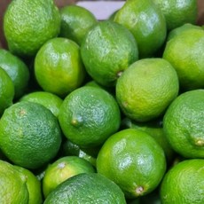 [업소용] 멕시코 생 라임, 1개, 프리미엄 대과 1박스 (18kg)