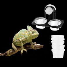 거북이 곤총 식기 리필컵 2컵 먹이그릇 파충류 SG-5DM09-7791, 리필 컵 30p(2컵형용)
