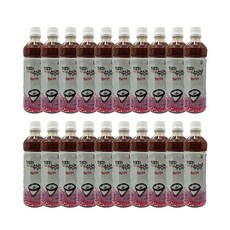[가보자식혜] 옛날수정과, 20개, 500ml