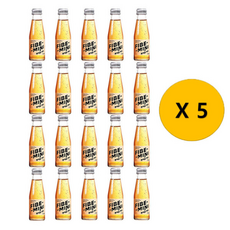 화이브미니, 100ml, 1개