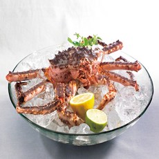 러시아 자숙 킹크랩, 1개, 브라운 킹크랩 1.8kg