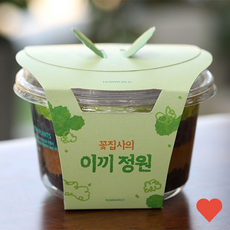 원예용품 공기정화 가습 양지 이끼 테라리움 꽃집사