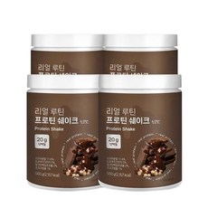 안국약품 리얼 루틴 프로틴 쉐이크 초코맛 560gX4박스, 4박스, 560g