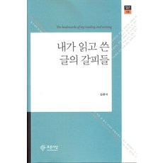 내가 읽고 쓴 글의 갈피들, 푸른사상, 김윤식 저