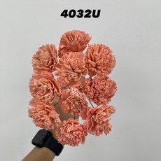 印度索拉花康乃馨4CM 單隻販售 通草花 擴香花 永生花 乾燥花材, 4032U