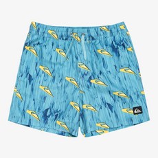 보드라이더스 퀵실버 주니어 넥스트 젠 14인치 쇼츠(KF21KS021BHA)_CA