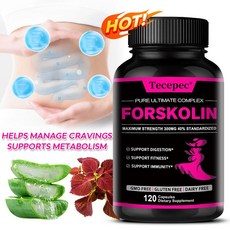 Forskolin 캡슐 - 복부 딥클렌징 에너지 보충 지방 연소 체중관리 근육보충제, 3개, 60회분
