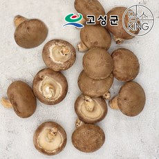 [공룡나라]고성 웅이표고농장 생표고버섯(생표고 파지1kg), 1박스, 파지 1kg
