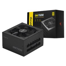 Segotep GM750W 80PLUS GOLD 풀모듈러 ATX 3.1 (PCIE5.1) 블랙, 1개