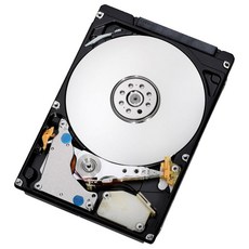 HGST Travelstar 2.5x2.54cm 500GB 7200RPM SATA II 16MB 캐시 내부 하드 드라이브 (0A72335), HGST Travelstar 2.5x2.54cm 500