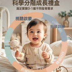 新生的兒見面禮盒初生嬰兒玩具0到6個月實用歲滿月寶寶禮物1搖鈴3, 1個, 送禮優選【嬰兒安撫搖鈴15件套 手提大禮盒】+精美禮袋:1個