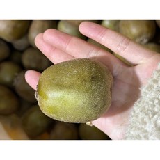 <품담> 껍질째 OK! 제주도 레드키위/당도선별/새콤달콤, 1박스, 4.5kg 주스용(60g 이하)