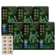 청솔 파인 솔잎농축 식약청 인증 프리미엄 솔잎 송침유 정품, 6개, 60회분